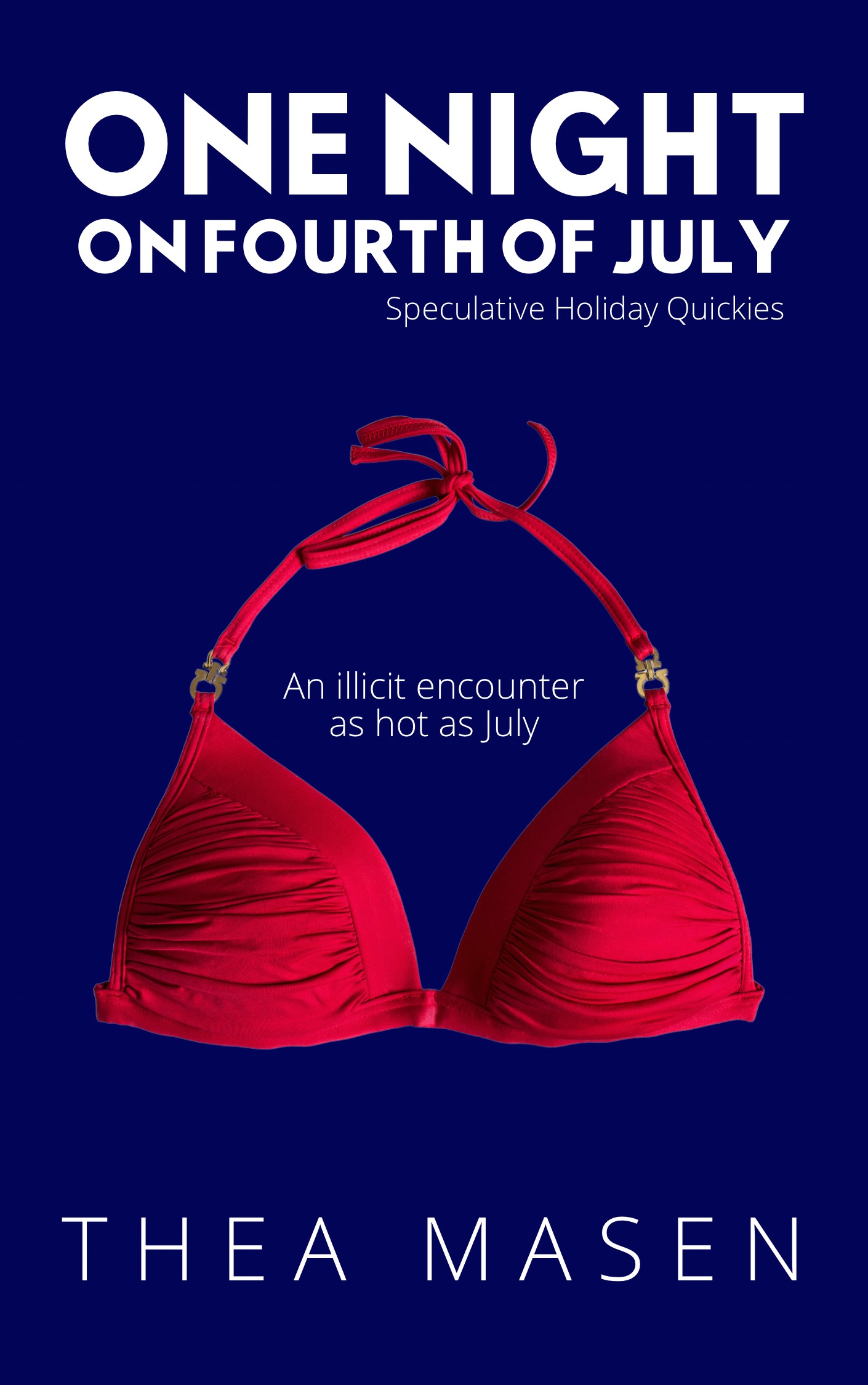 One Night on Fourth of July book cover