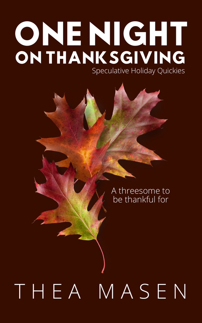 One Night on Thanksgiving book cover