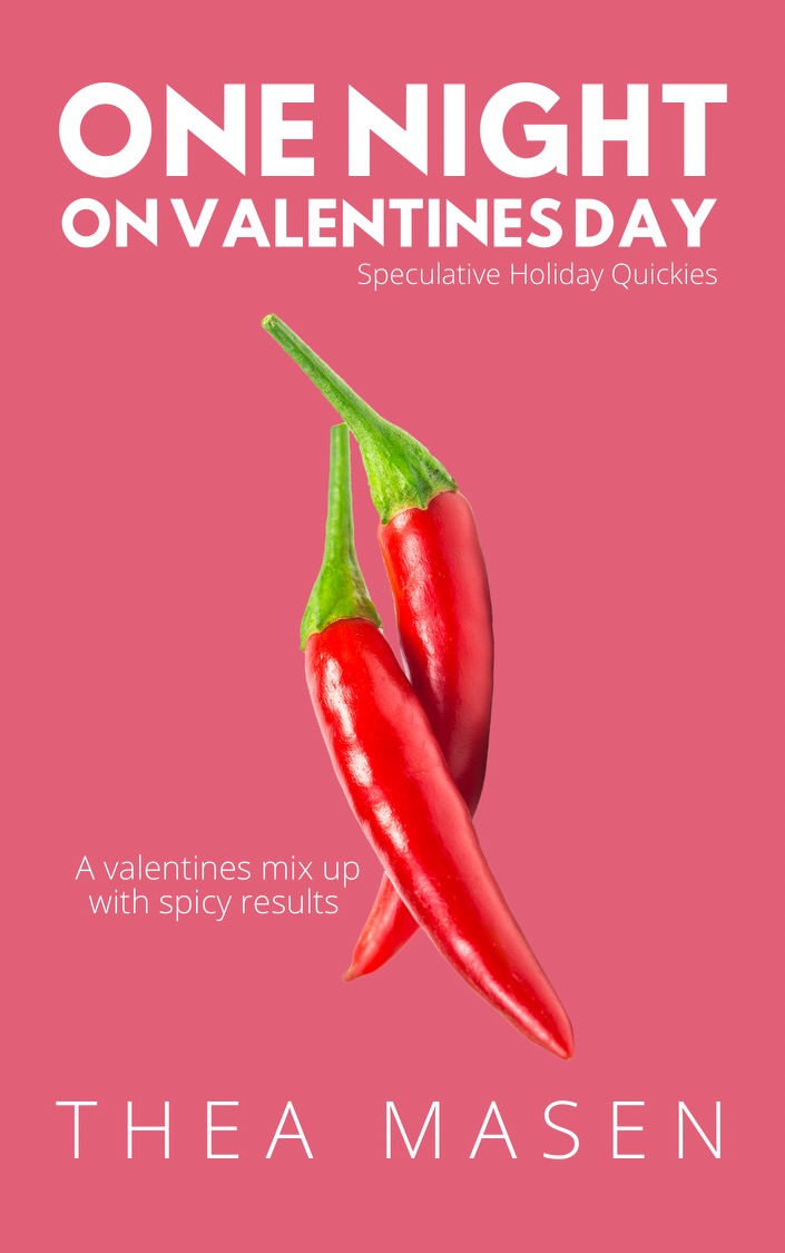 One Night on Valentine's Day book cover